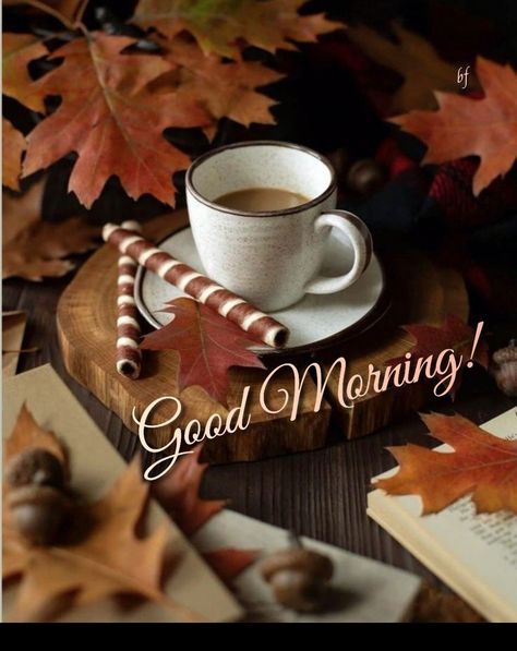 Morning Coffee Gif, Good Morning Fall, Gif Coffee, Tuesday Coffee, Coffee Good Morning, Autumn Greetings, Good Morning Sister Quotes, Good Morning Christmas, Good Morning Winter