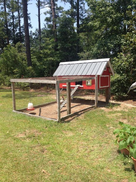 Chicken Coop (Can Hold Up To 5) Fancy Chicken Coop, Cute Chicken Coops, Chicken Coop Decor, Custom Backyard, Chicken Home, Fancy Chickens, Urban Chickens, Coop Plans, Chicken Coop Plans