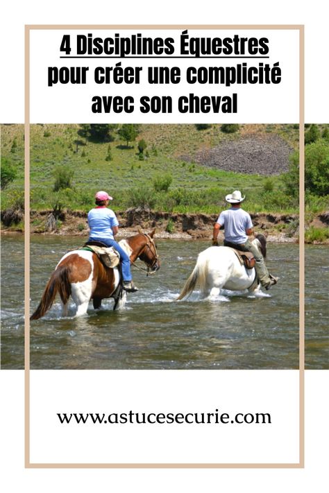 Découvrez4 disciplines originales pour créer une belle complicité avec votre cheval. Western, trail, randonnée equifeel... Pour les cavaliers débutants ou confirmés Western Trail, Dressage, Baseball Cards