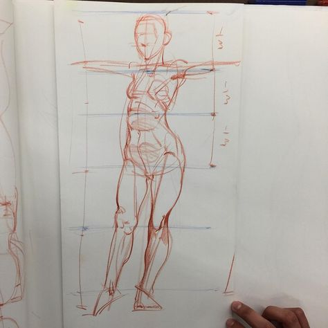 8,170 Me gusta, 22 comentarios - Will Weston (@willwestonstudio) en Instagram: "Quickie figure proportions of in a student's drawing pad. I'm a fan of semi-accurate measuring…" Will Weston Anatomy, Figure Proportions, Back Anatomy, Will Weston, Anatomy Studies, Human Figure Sketches, Anatomy Sculpture, Human Anatomy Drawing, Human Figure Drawing