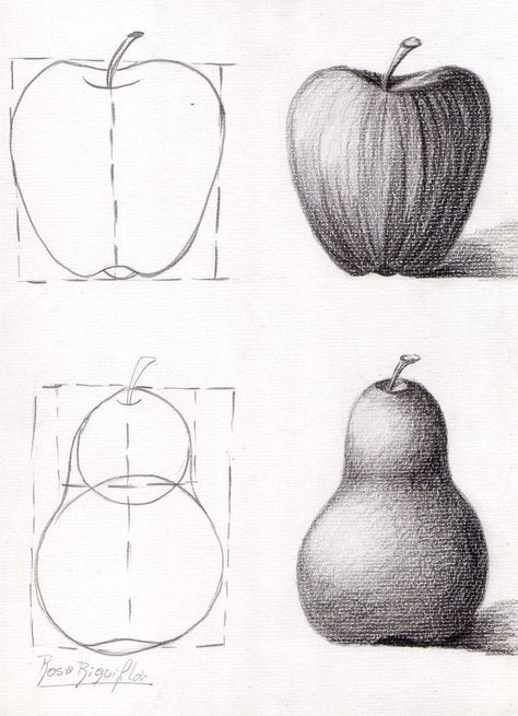 Art Fruit Drawing, Learn Drawing Beginner, Fruit Sketching, How To Draw An Apple, Fruit Shading, Drawing Of Fruits, Portrait Drawing For Beginners, Sketch Fruit, How To Draw Fruit