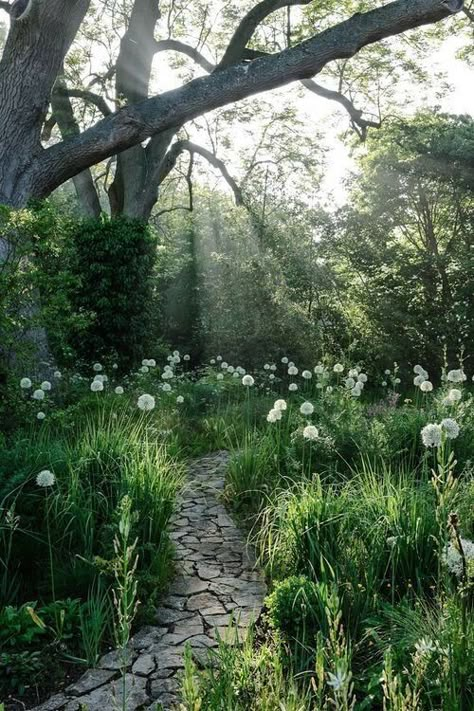 25 Stunning Garden Paths Taman Air, Stone Path, Secret Gardens, Moon Garden, Have Inspiration, The Secret Garden, Woodland Garden, Garden Pathway, Green Forest