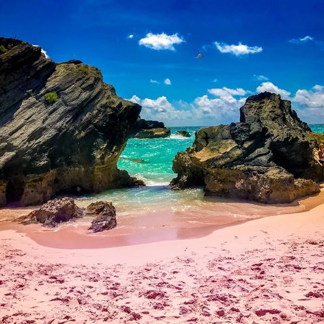 Pink like cotton candy & just as sweet! Check out Bermuda's Pink Sand Beaches. Bermuda Beaches Pink, Pink Sand Beach Bermuda, Pink Sand Wallpaper, Summer Iphone Wallpaper, Pink Sand Beaches, Sand Wallpaper, Bermuda Travel, Bermuda Beaches, Pink Sand Beach