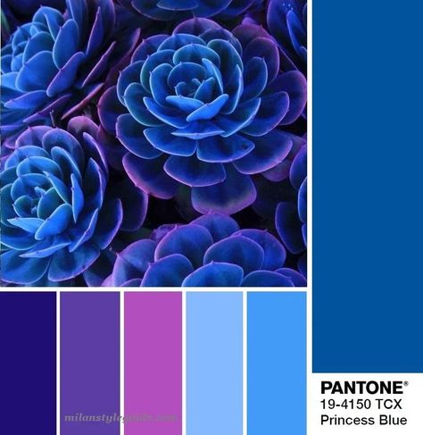 Funky Rooms, Palettes Color, Purple Color Palettes, Color Palette Challenge, Color Schemes Colour Palettes, Dot Mandala, Design Seeds, Color Palette Design, Color Harmony