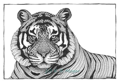 Tiger by Kristin Moger Tiger Art Drawing, Scary Coloring Pages, Zentangle Animals, Lion Love, Zentangle Doodles, Adult Coloring Book Pages, Tiger Art, Color Images, Zentangle Art