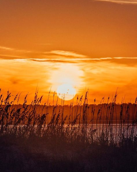 Orange sunset in Tybee Island Georgia over Tybee Back River. sunrise Savannah, sunrise Savannah Georgia, sunset Savannah, sunset Savannah Georgia, sunset river, sunset Moon River, sunset live oak, sunset oak tree, sunset marsh, sunset, sunsets, beach sunset, sunset ocean, sunset photography, sunset pictures, sunset sky, sunset beautiful, sunset background, Cielo atardecer, lowcountry living, lowcountry marsh, lowcountry lifestyle, lowcountry savannah georgia, Tybee Island sunset Sunset Savannah, Marsh Sunset, Savannah Sunset, Sunsets Beach, Boho Beach House, Sunset Beach Weddings, Tybee Island Georgia, Surfer Art, River Sunset