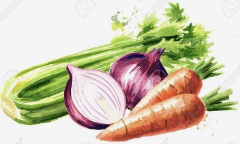 Nutrition Illustration, Carrot Drawing, Hand Drawn Illustration, Drawn Illustration, Background Illustration, Royalty Free Photos, Onions, Celery, Green Beans