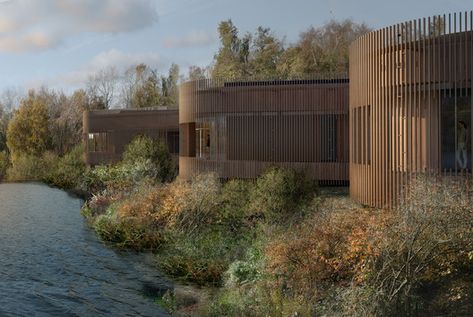 Gallery of RIBA Announces Competition Shortlist for Innovative Nature and Wellbeing Center in Sevenoaks - 4 Visitor Center Architecture, Wellbeing Centre, Wildlife Reserve, Nature Center, Visitor Center, Concept Architecture, Nature Reserve, Contest Design, Architecture Design