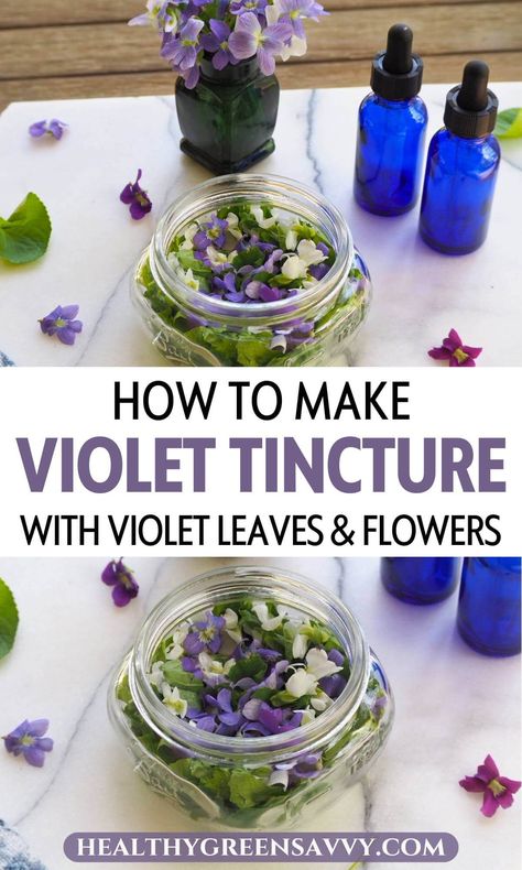 Did you know you can use common wild violets to make a medicinal tincture? Tinctures preserve the benefits of medicinal plants like wild violets, and they're very easy to make. Find out about making wild violet tincture this season. | medicinal plants | herbal medicine | Stinging Nettle Tincture Benefits, Tinture Recipes, Violet Tincture, Homemade Tinctures, Tincture Recipes, Apothecary Recipes, Herbal Crafts, Nettle Tincture, Spring Foraging