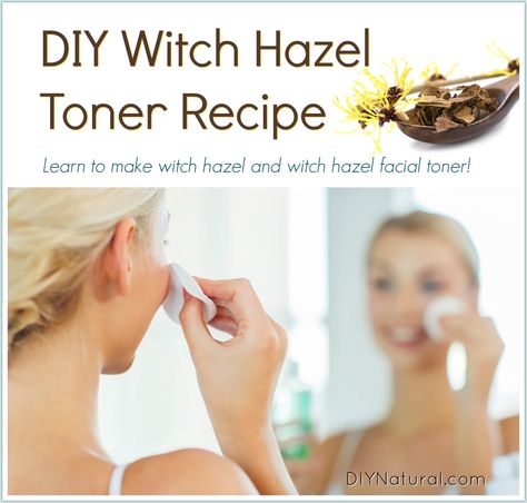 How To Make Witch Hazel Diy Witch Hazel, Toner Witch Hazel, Facial Toner Recipe, Witch Hazel Uses, Diy Toner, Diy Witch, Witch Hazel Toner, Anti Aging Creme, Natural Beauty Diy