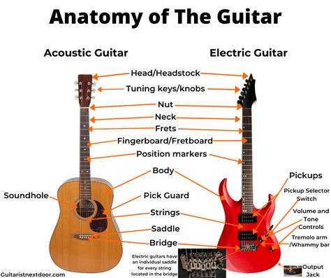 If you want to learn more than just the anatomy, check the post ''How to Play Guitar? - Get Started Fast and Free!'' at Guitaristnextdoor.com Easy Guitar Chords, Learn Singing, Guitar Exercises, Basic Guitar Lessons, Learning Guitar, Cheap Guitars, Guitar Teacher, Guitar Riffs, Guitar Practice