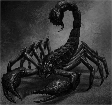 Scorpio Dekoratívne Vence, Scorpio Art, Scorpio Tattoo, Beast Creature, Scorpion Tattoo, Spider Tattoo, Fantasy Monster, Creature Concept Art, Creature Concept