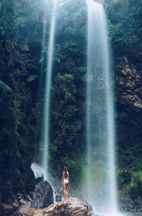 Twin Falls, Gold Coast, Volcano, Queensland, Brisbane, National Park, Lush, Natural Beauty, Tumblr