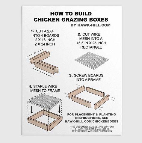 How to Build Chicken Grazing Boxes to Grow Fresh Greens in your Chicken Run | Download Free Plans | Hawk Hill Chicken Grazing Boxes, Plants For Chicken Coop, Plants For Chickens, Urban Chicken Farming, Grazing Boxes, How To Grow Watermelon, Commercial Farming, Chicken Manure, Layer Chicken