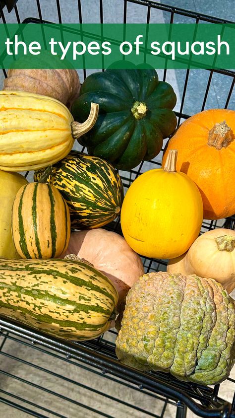 What's your favorite way to enjoy winter squash? Become a pro in the squash aisle with our new blog, explaining the types of squash and how to best cook them. #Coop #FoodCoop #Delicious #Food #Foodie #SupportLocal #Local #ShopLocal #Bellingham #BellinghamWA #BHam #WA #PNW #Whatcom #WhatcomCounty #Grocery #GroceryStore #GroceryShopping #Groceries #WinterSquash #SquashRecipe #Pumpkins Types Of Winter Squash, Types Of Squash Winter, Different Kinds Of Squash, Types Of Squash, Squash Types, Winter Squash Recipes, Types Of Pumpkins, Best Cook, Yellow Squash Recipes