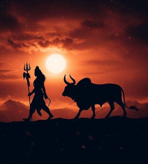 Shiva And Nandi, Shiva Pics, Lord Shiva Pics, My Photo Gallery, Lord Shiva, Shiva, Photo Gallery, Photo Galleries, Quick Saves