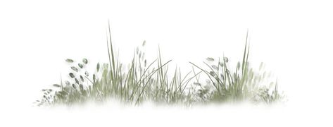 Grass Grass For Photoshop, Grass Texture Photoshop Architecture, Grass Architecture, Grass Photoshop, Roof Plants, Grass Png, Human Tree, Dirt Texture, Grass Drawing