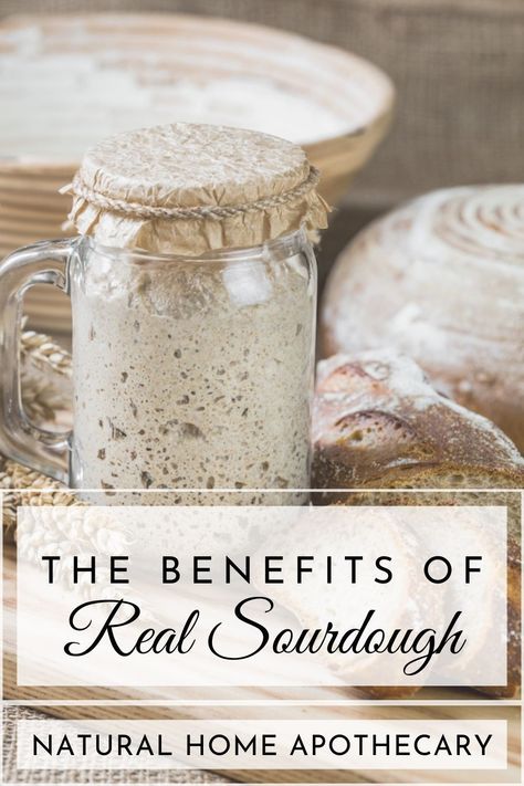 Sour Dough Benefits, Sourdough Benefits Health, Sourdough Health Benefits, Benefits Of Sourdough, Sourdough Benefits, Health Benefits Of Sourdough, Sourdough Bread Health Benefits, Sourdough Bread Nutrition Facts, Health Benefits Of Sourdough Bread