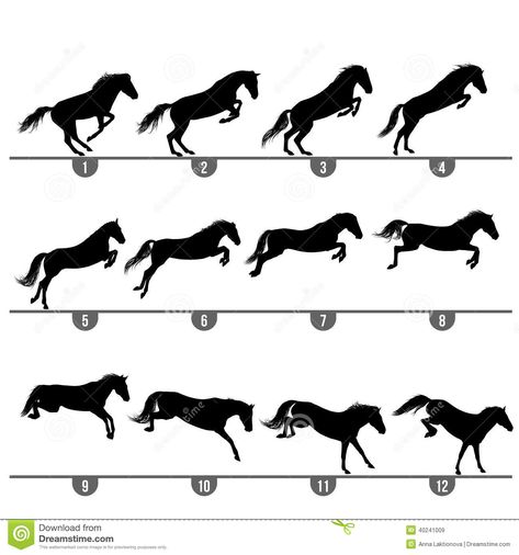 Illustration about Set of 12 jumping horse phases silhouettes. Illustration of animal, competition, pony - 40241009 Jump Animation, Animation Drawing Sketches, Horse Animation, Horse Competition, Horse Art Drawing, Drawing Animation, Jumping Horse, Vector Animation, Free Horses