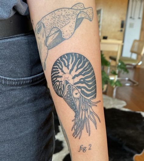 Mollusk Tattoo, Sea Creature Tattoo Ideas, Horseshoe Crab Tattoo, Archaeology Tattoo, Sea Creatures Tattoo, Cuttlefish Tattoo, Sea Creature Tattoo, Crab Tattoos, Biology Tattoo