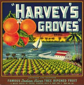 Harvey's Groves Florida Fruit Orange Crate Labels, Cocoa Florida, Vintage Fruit Crate Label, Vegetable Crate Labels, Fruit Labels, Fruit Crate Label, Vintage Advertising Art, Vintage Crate, Label Art