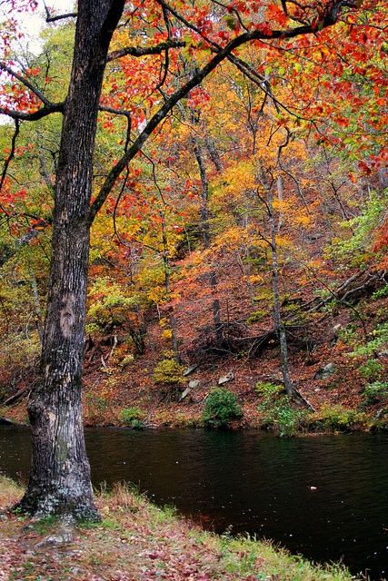 Lake Chinnabee by lynnmohd2, via Flickr; Talladega National Forest, Alabama Auburn Aesthetic, Talladega National Forest, Hellen Keller, Alabama History, Fall Scenes, Eco System, Alabama Travel, Trail Of Tears, Empty Nest