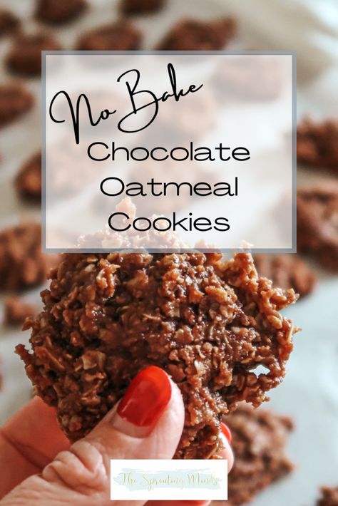 Mud Cookies, No Bake Chocolate Oatmeal Cookies, Chocolate Oatmeal Cookies, Sweet Treats Desserts, Candy Collection, Chocolate Oatmeal, Save Room, Best Cookie Recipes, Dessert Lover