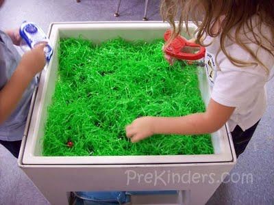 Easter Grass Sensory Table - someone else gave me this idea and I just found Easter grass for 39¢ a bag online at Party City. Can't wait to set this up in my room!-- Kids love this for sensory. Could also be a Spring or Summer sensory table. Insects Preschool, Sensory Tubs, Bugs Preschool, Sensory Tub, Insects Theme, Sensory Boxes, Spring Preschool, Sensory Table, Spring Activities