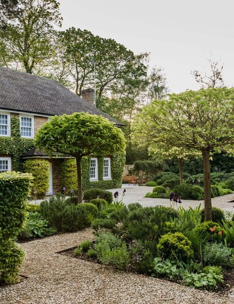 Parterre garden: an elegant design with evergreens - Gardens Illustrated January Gardening, Highgrove Garden, Gravetye Manor, Garden Ideas Vegetable, Gardening Seeds, Country Garden Design, Evergreen Landscape, Parterre Garden, Inside Garden