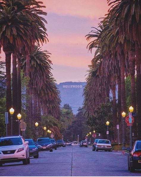 California Aesthetic Wallpaper, Los Angeles Aesthetic, Hollywood Aesthetic, California Aesthetic, 80s Aesthetic, Picture Collage Wall, Mia 3, Photo Wall Collage, California Dreaming