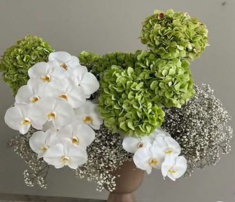 Oops I Did It Again, Hydrangea Centerpiece, Greenery Arrangements, I Did It Again, Hydrangea Arrangements, Green Hydrangea, Orchid Arrangements, Flower Arrangements Simple, Modern Flower Arrangements