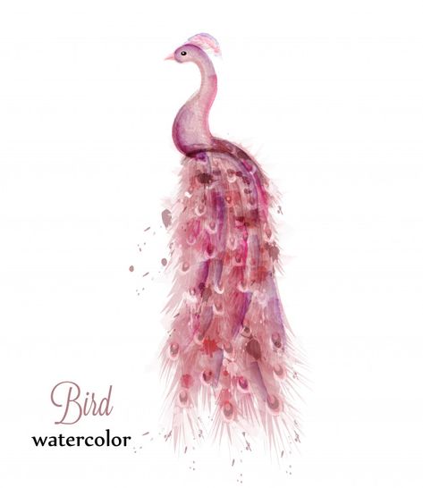 Watercolor Peacock, Dickson Tennessee, Peacock Fabric, Pink Peacock, Beautiful Peacock, Diy Rhinestone, Fabric Panel, Digital Print Fabric, Watercolor Bird