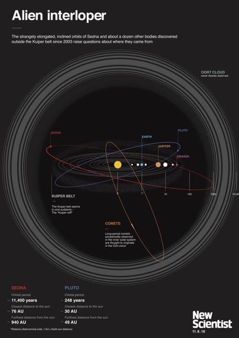 Oort Cloud Our Solar System, Planet Sedna, Oort Cloud, Biology Projects, Astro Science, Astronomy Facts, Solar Systems, Space Facts, Space Pictures