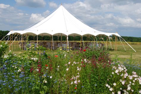 Moroccan Tent, Marquee Tent, Village Fete, Reception Drink, Wedding Marquee, Marquee Hire, Space Wedding, Traditional Bride, Marquee Wedding