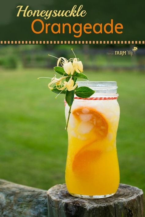 Orangeade Recipe, Nourishing Drinks, Nerdy Farm Wife, Floral Recipes, Honeysuckle Flowers, Summer Drink Recipe, Learning Herbs, Herbal Drink, Frozen Drink Recipes