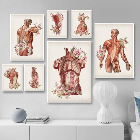 Medical Art Painting Canvas, Nutrition Painting, Medical Art Painting, Muscle Painting, Medical Painting, Human Body Muscles, Medical Room, Muscle Art, Medical Artwork