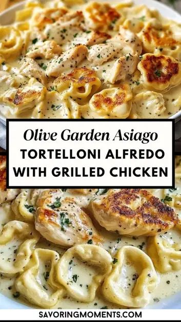 Craving Olive Garden’s famous Asiago Tortelloni Alfredo with Grilled Chicken? Now you can make this creamy, cheesy, and savory dish at home! Enjoy tender grilled chicken over Asiago-stuffed tortelloni, all smothered in rich Alfredo sauce. It’s an irresistible copycat recipe perfect for pasta lovers. Asiago Tortellini, Grilled Chicken Alfredo, Asiago Chicken, Tortellini Alfredo, Olive Garden Recipes, Chicken Tortellini, Tortellini Recipes, Chicken Alfredo Recipes, Chicken Alfredo Pasta