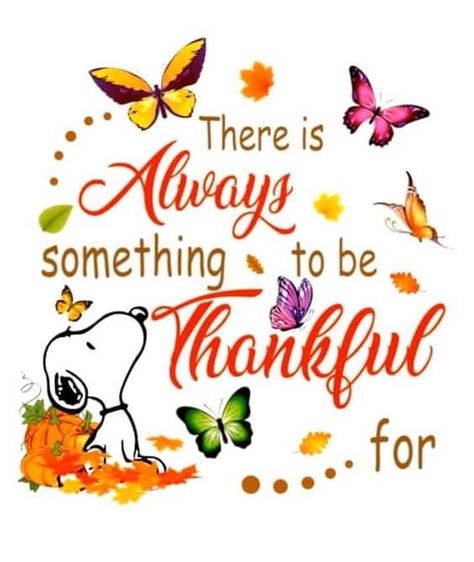 Peanuts Quotes, Charlie Brown Quotes, Monday Morning Quotes, Good Morning Snoopy, Fall And Thanksgiving, Snoopy Funny, Snoopy Images, Snoopy Wallpaper, Snoopy Quotes