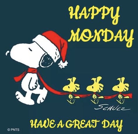 Christmas Thursday, Charlie Brown Quotes, Good Morning Christmas, Monday Pictures, Morning Christmas, Good Morning Winter, Happy Monday Quotes, Snoopy Funny, Snoopy Images