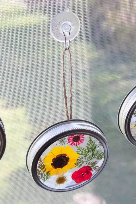 Upcycled Flower Suncatchers Pressed Flower Suncatcher, Library Crafts, Flower Suncatcher, Pressed Flower Crafts, Canning Lids, Bakelite Jewelry, Dried And Pressed Flowers, Mason Jar Lids, Jewelry Images