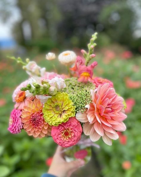 White Zinnias Bouquet, Wedding Flowers Zinnias, Zinnia Wedding Flowers, Zinnia Wedding Bouquet, Dahlia Zinnia Bouquet, Bouquet Recipes, Flower Ranunculus, Zinnia Bouquet, Apartment Gardening