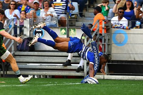 Damian Willemse, In The Corner, Go Wild, Rugby, Wonder