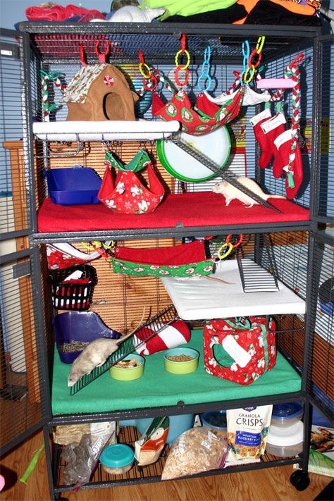 Diy Rat Toys, Pet Rat Cages, Rat Care, Rat Hammock, Chinchilla Cage, Ferret Cage, Rat Toys, Rat Cage, Fancy Rat