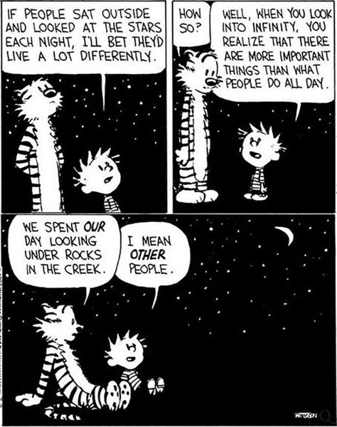 Calvin And Hobbes Wallpaper, Hobbes And Bacon, Calvin And Hobbes Quotes, Bill Watterson, Calvin And Hobbes Comics, Calvin Hobbes, Look At The Stars, Calvin And Hobbes, June 30