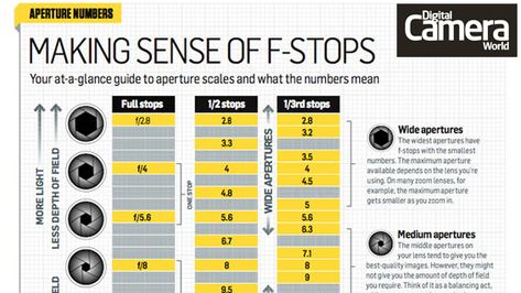 Cheat sheet: How to understand f-stops | Digital Camera World Photography Cheat Sheet, F Stop, Photography Cheat Sheets, Camera World, Photography Help, Photography Basics, Camera Hacks, Visual Learners, Take Better Photos