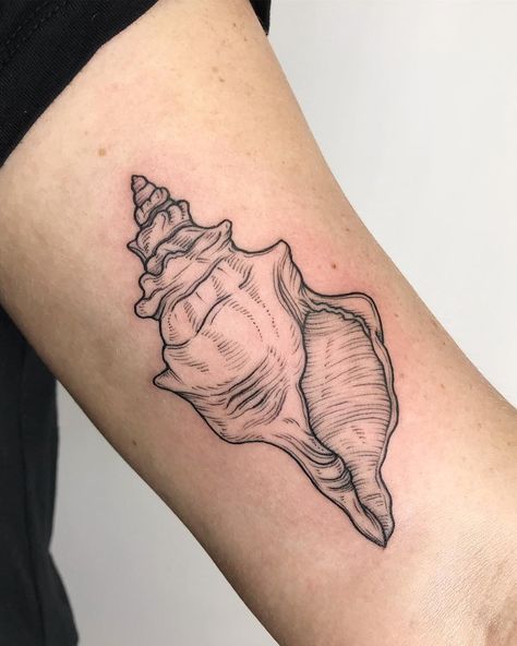 Crispy Francis on Instagram: “A conch shell! This was fun and different.” Ocean Sleeve Tattoos, Shell Tattoo, Seashell Tattoos, Shell Tattoos, Petit Tattoo, Dibujos Tattoo, Ocean Tattoos, Beach Tattoo, Top Tattoos