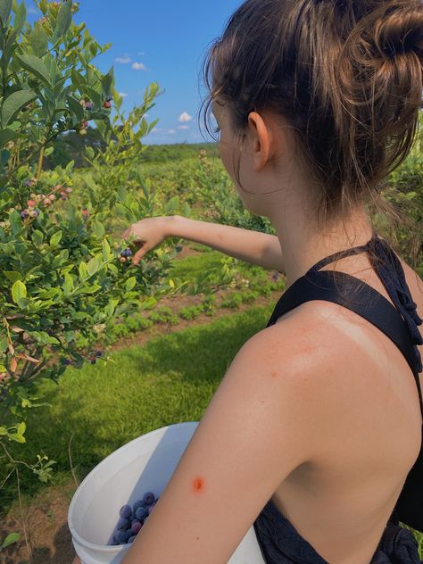 Berry Picking Aesthetic, Blueberry Picking, Berry Picking, Farm Girl, Summer Dream, Aesthetic Pictures, Bucket List, Berry, Vision Board