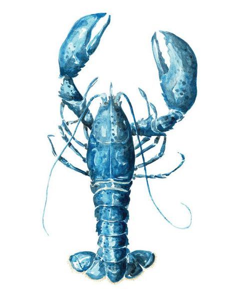 Lobster Tattoo, Lobster Art, Blue Lobster, Crab Art, Coastal Artwork, Sea Art, Fish Painting, Coastal Art, Fish Art