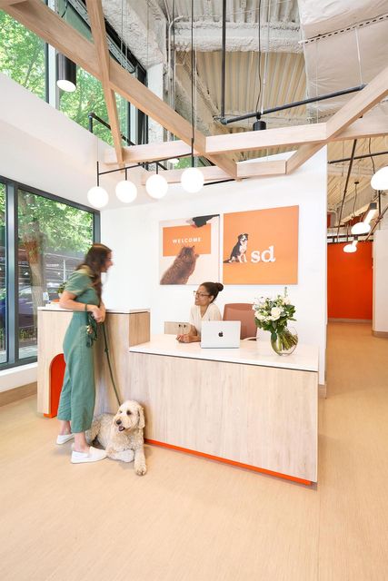 Dog Clinic, West Village Nyc, Reception Desk Design, Shop Desk, Small Door, Dog Hotel, Pet Hotel, Clinic Interior Design, Veterinary Services