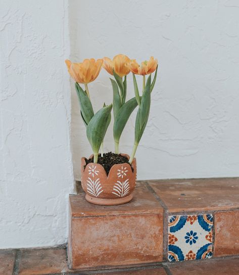 Terracotta Planter Pot, Planter With Drainage, Painted Terracotta Pot, Cottagecore Decor, Hand Painted Pot, Clay Pot, Ceramic Planter Pot - Etsy Terracota Planters Ideas, Mexican Planters Patio, Painted Planters, Plant Friends, Ceramic Projects, Balcony Planters, Pottery Lessons, Black Thumb, Thrift Flips